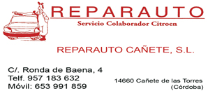 Reparauto Cañete sl