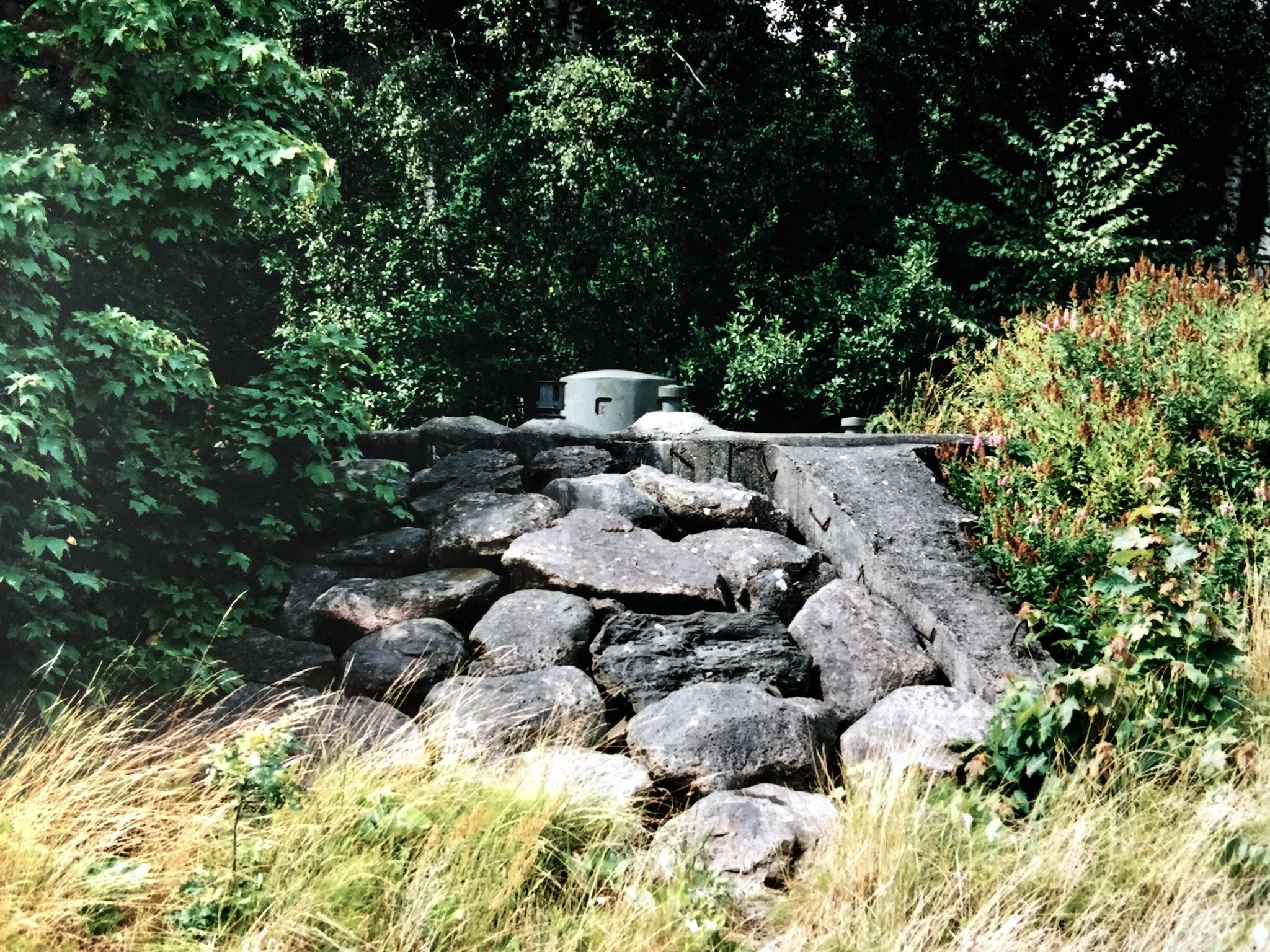 Värn 19 (Foto: Oskar Gerhardsson) (Ksp III)