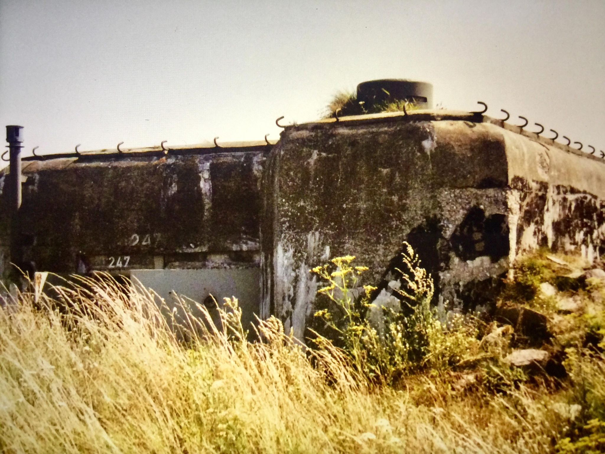 Värn 247 (Foto: Oskar Gerhardsson) (Kanon)