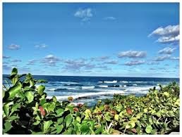 La Lomita de los Vientos