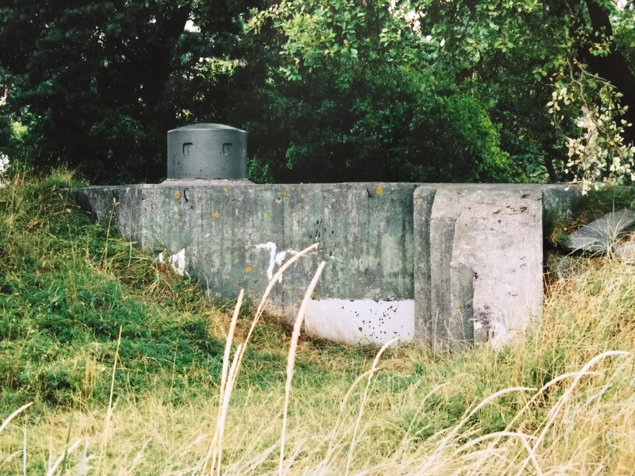 Värn 895 (Foto: Oskar Gerhardsson) (Ksp IV)