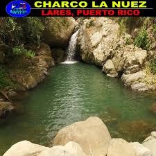 Charca arriba nuez