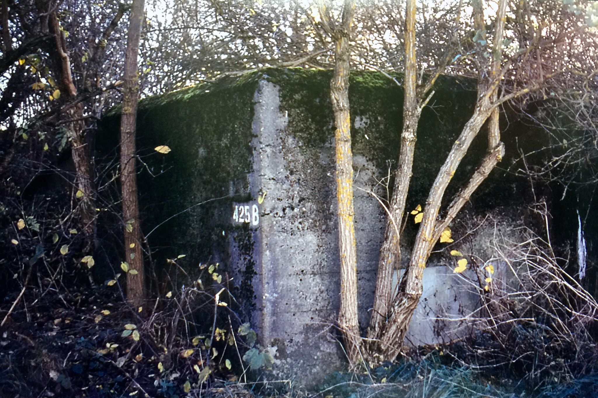 Värn 425b (Foto: Oskar Gerhardsson) (Rivet Ksp V)