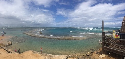 The New Reef