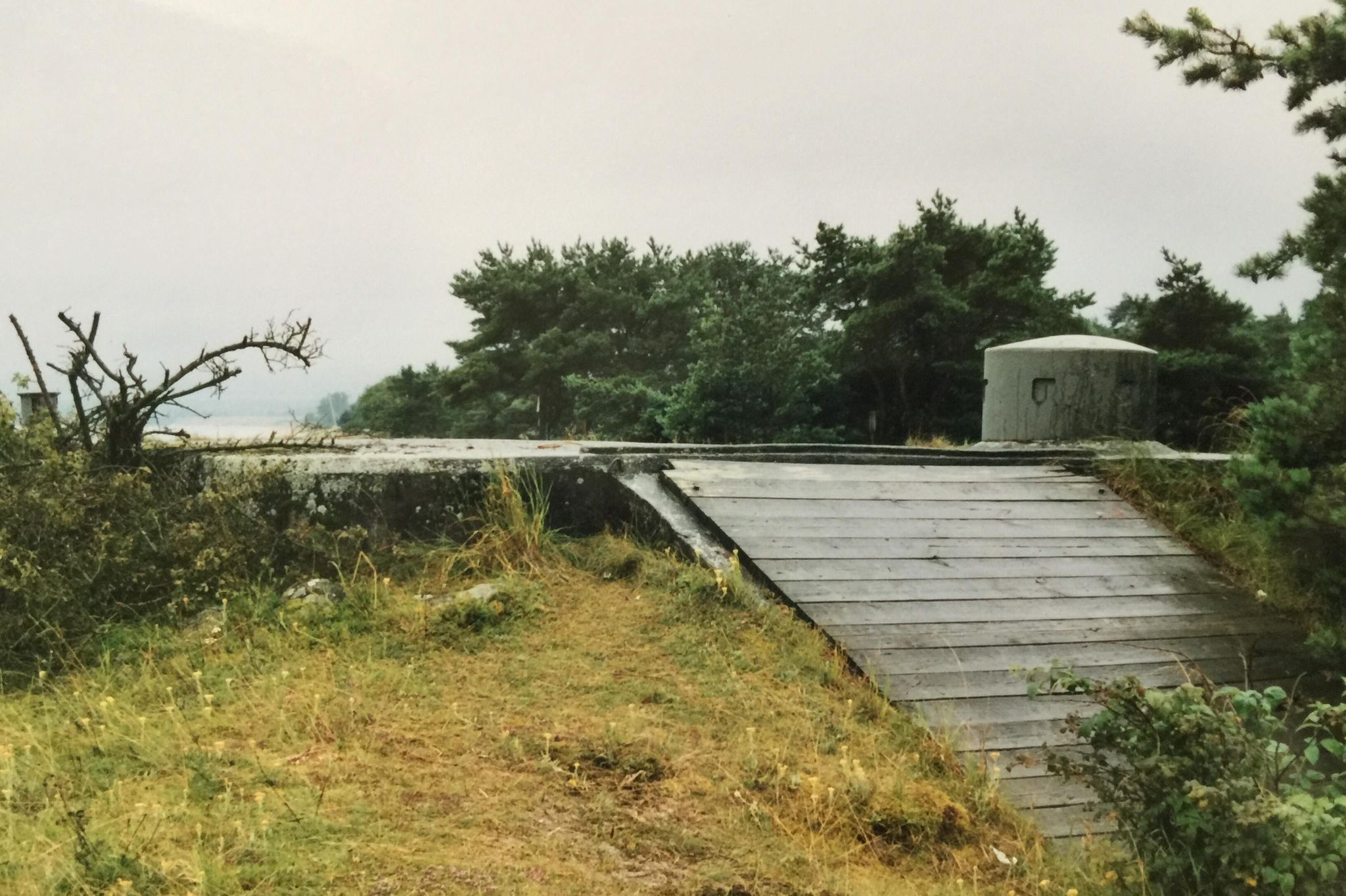 Värn 844 (Foto: Oskar Gerhardsson) (Pv)