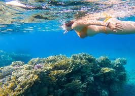 Snorkeling - Mar Chiquita