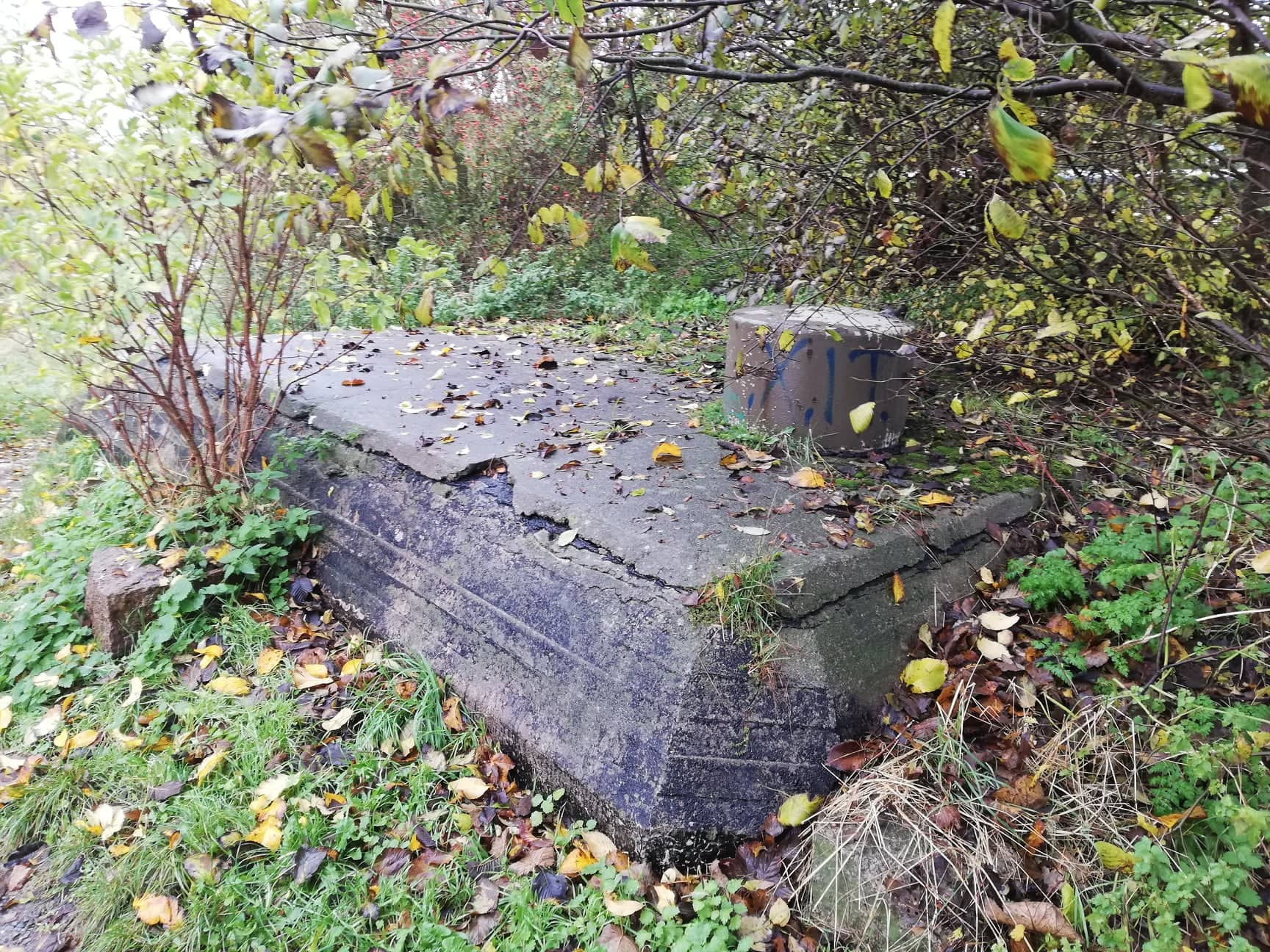 Värn 172 (Foto: Magnus Sjögren) (Ksp I)