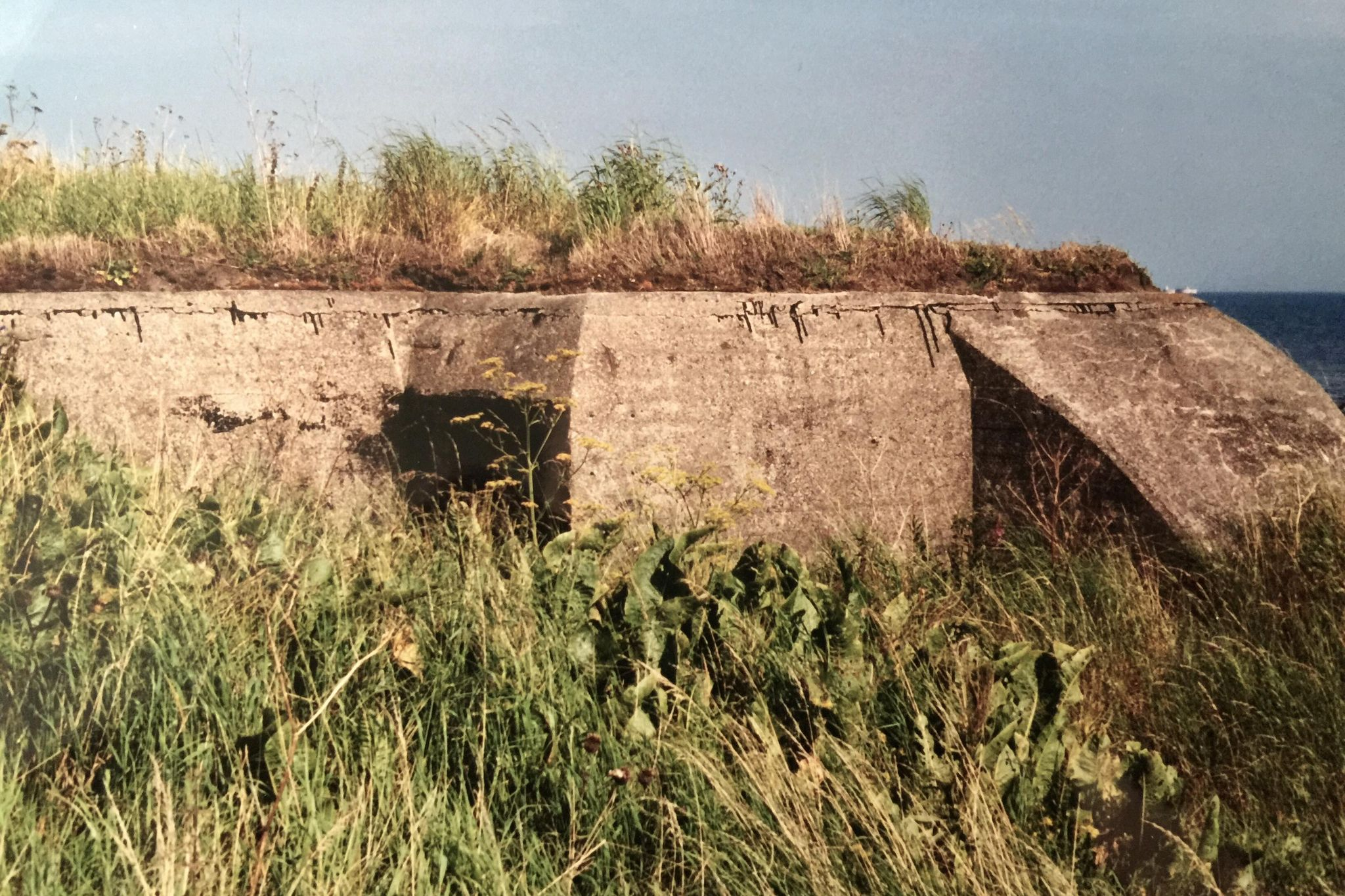 Värn 177 (Foto: Oskar Gerhardsson) (Ksp I)