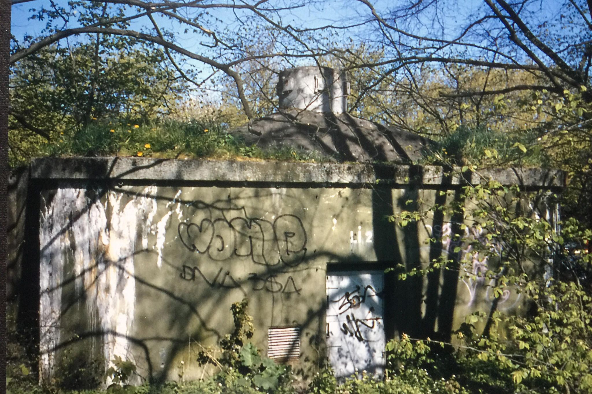 Li2 (Foto: Magnus Sjögren och Oskar Gerhardsson) (Ksp)