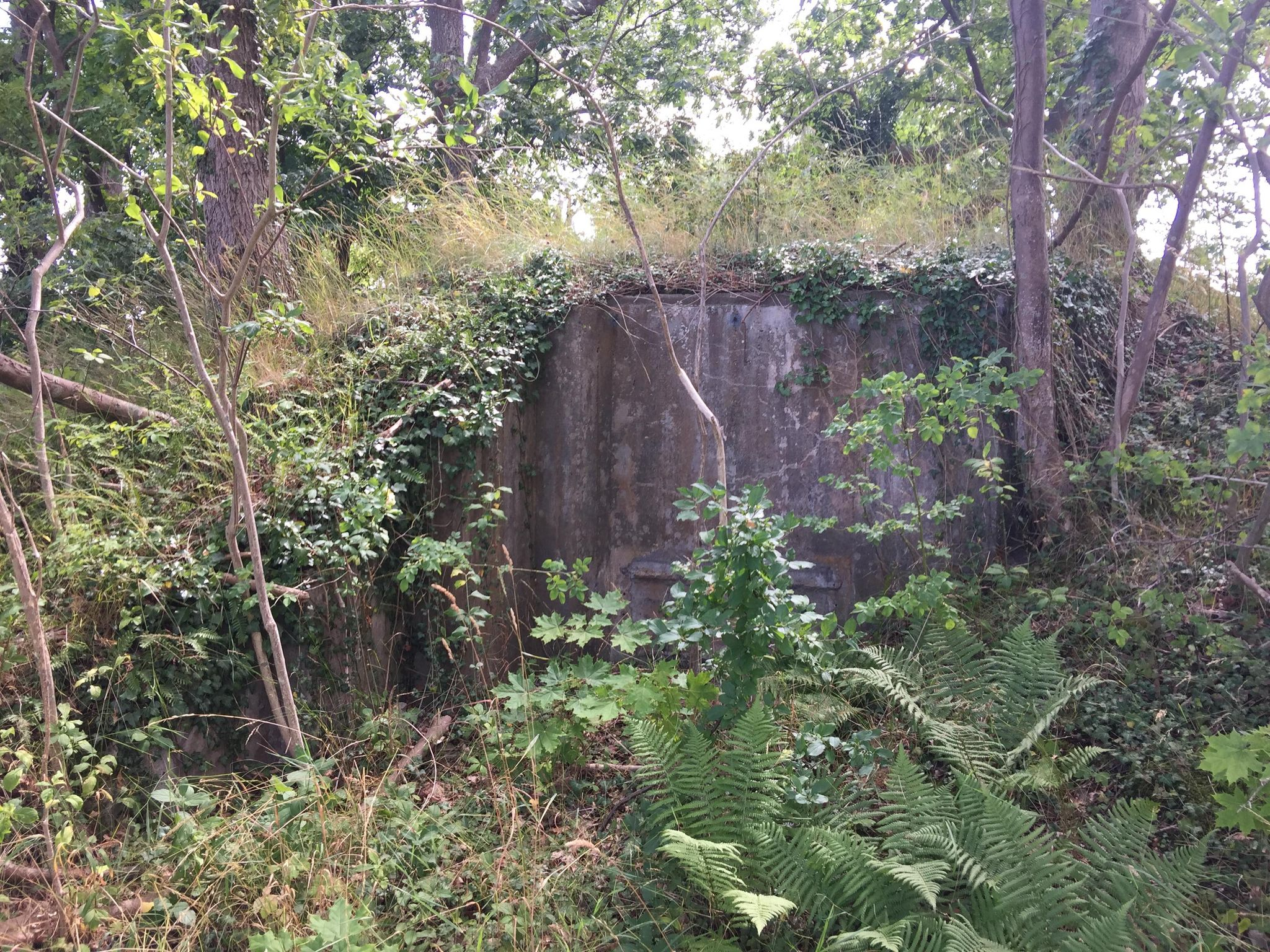 Värn 810 (Foto: Oskar Gerhardsson) (Ksp III)