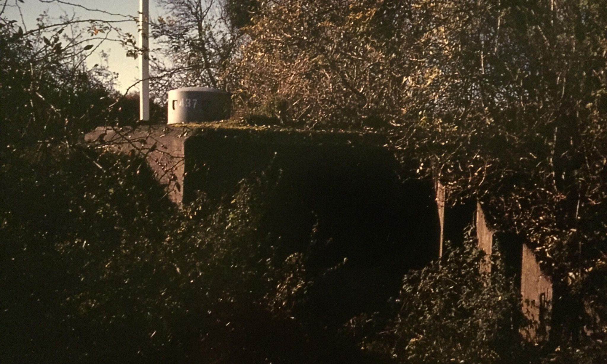 Värn 437 (Foto: Oskar Gerhardsson) (Ksp V)