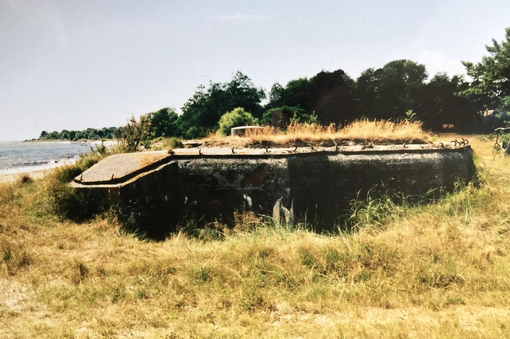 Värn 239 (Foto: Oskar Gerhardsson) (Ksp I)