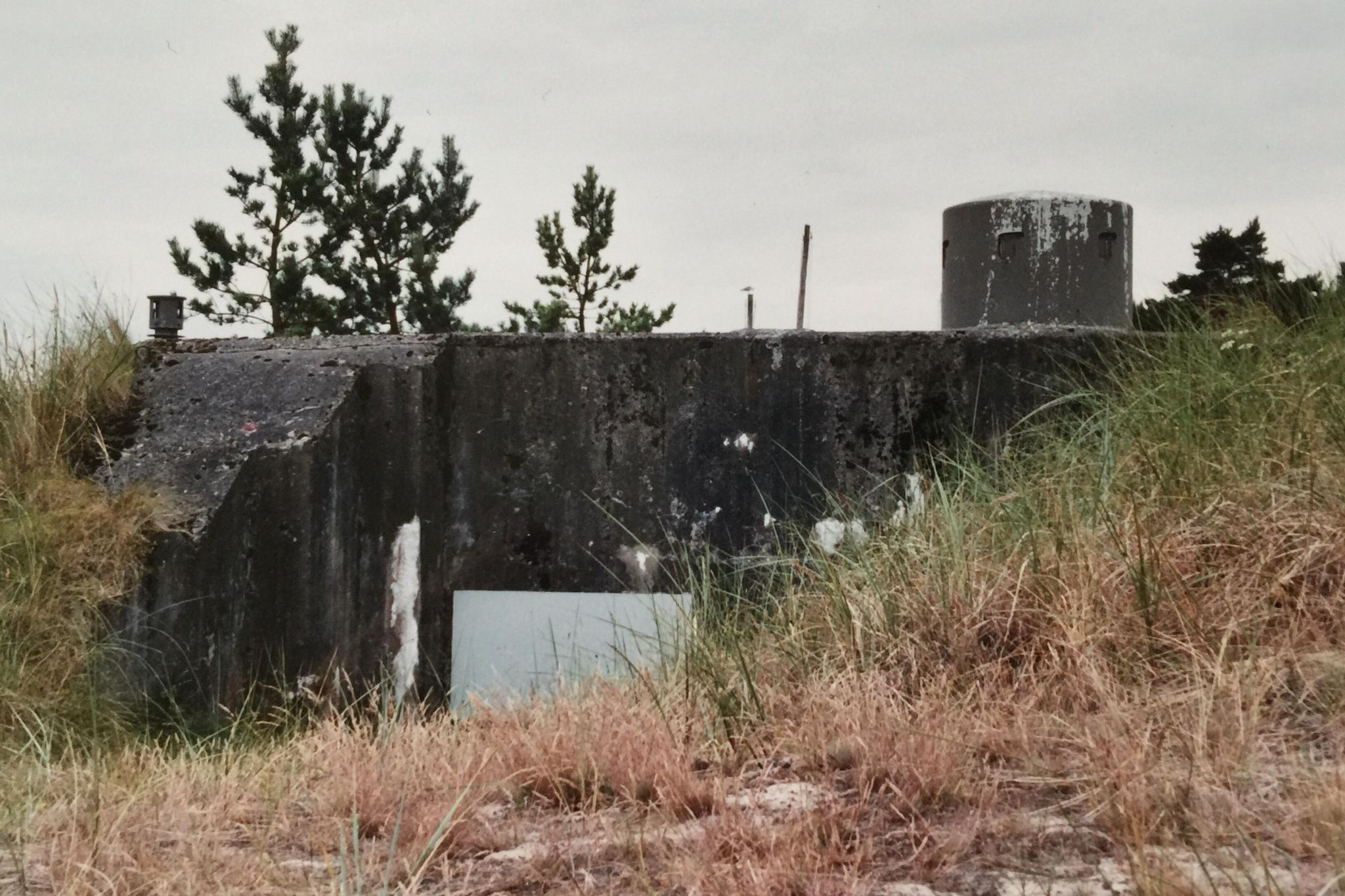 Värn 871 (Foto: Oskar Gerhardsson) (Ksp IV)