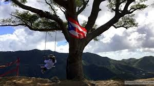Columpio y Bandera Curva Arbol