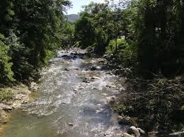 Charco El Rucio, Peñuelas