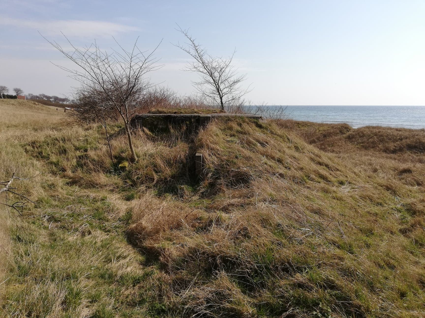 Värn 198 (Foto: Magnus Sjögren) (Pv)