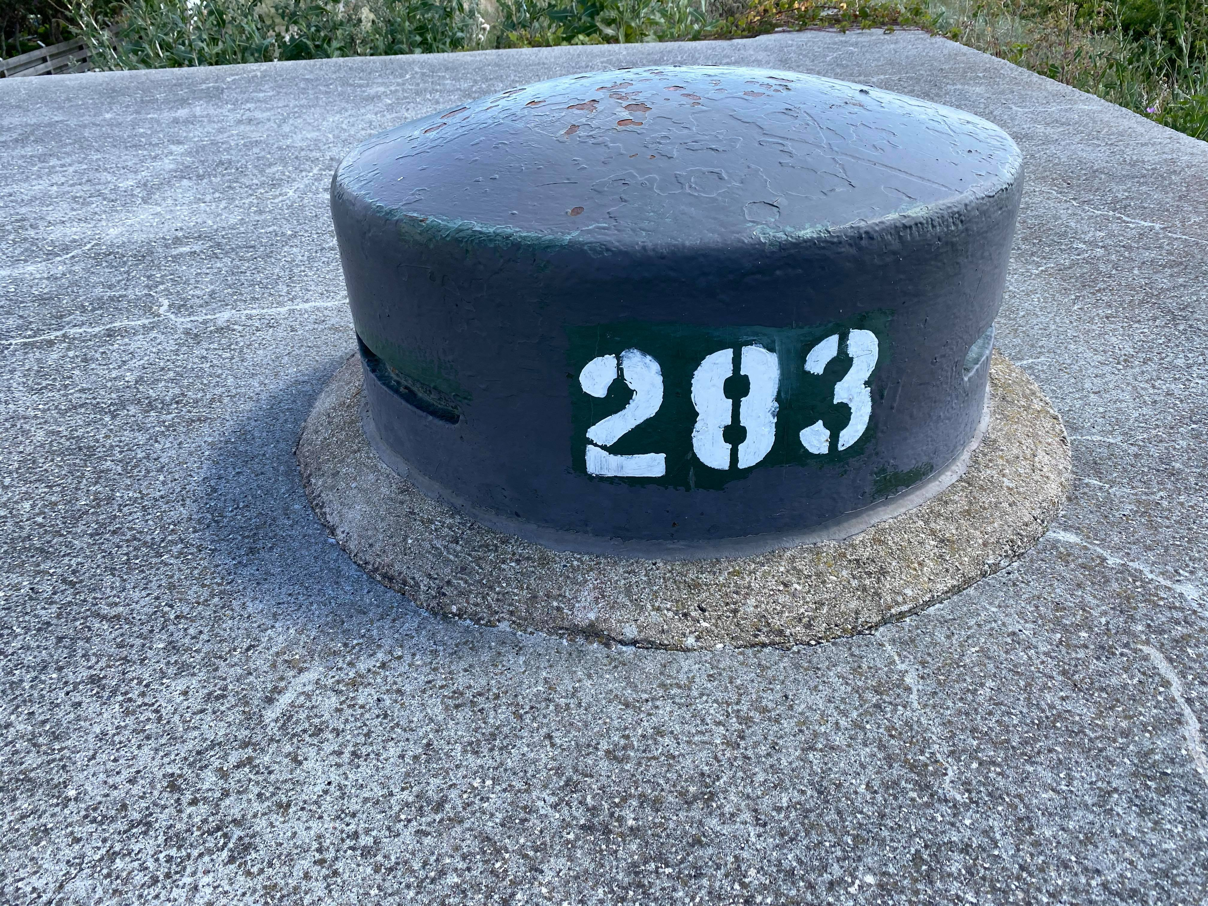 Värn 283 (Foto: Torbjörn Christensen) (Pv)