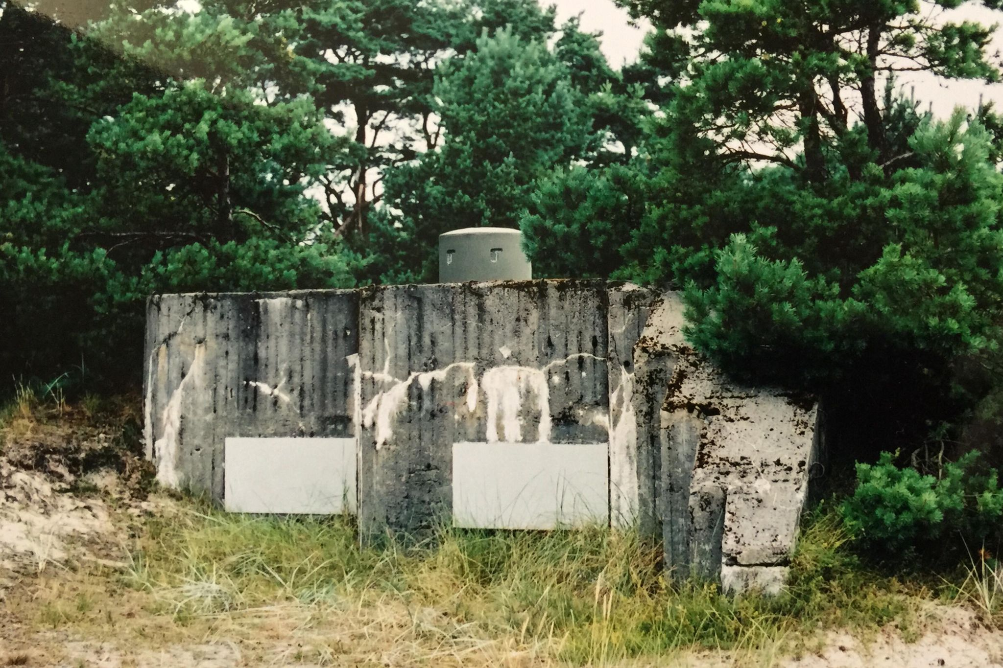 Värn 879 (Foto: Oskar Gerhardsson) (Ksp IV)