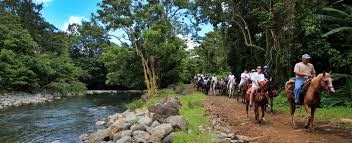 Carabalí Rainforest Park