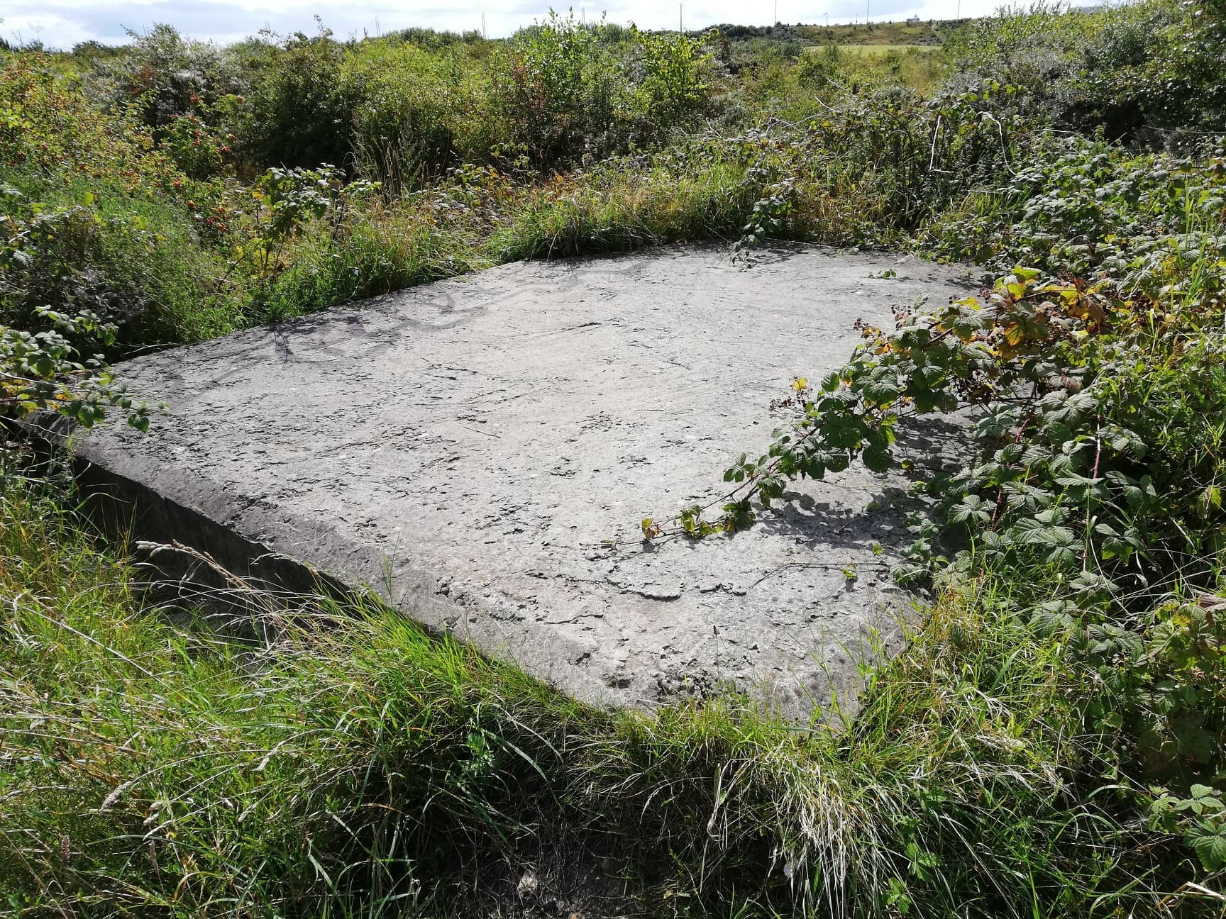 Observationsvärn 424 (Foto:Magnus Sjögren) (Observationsvärn)