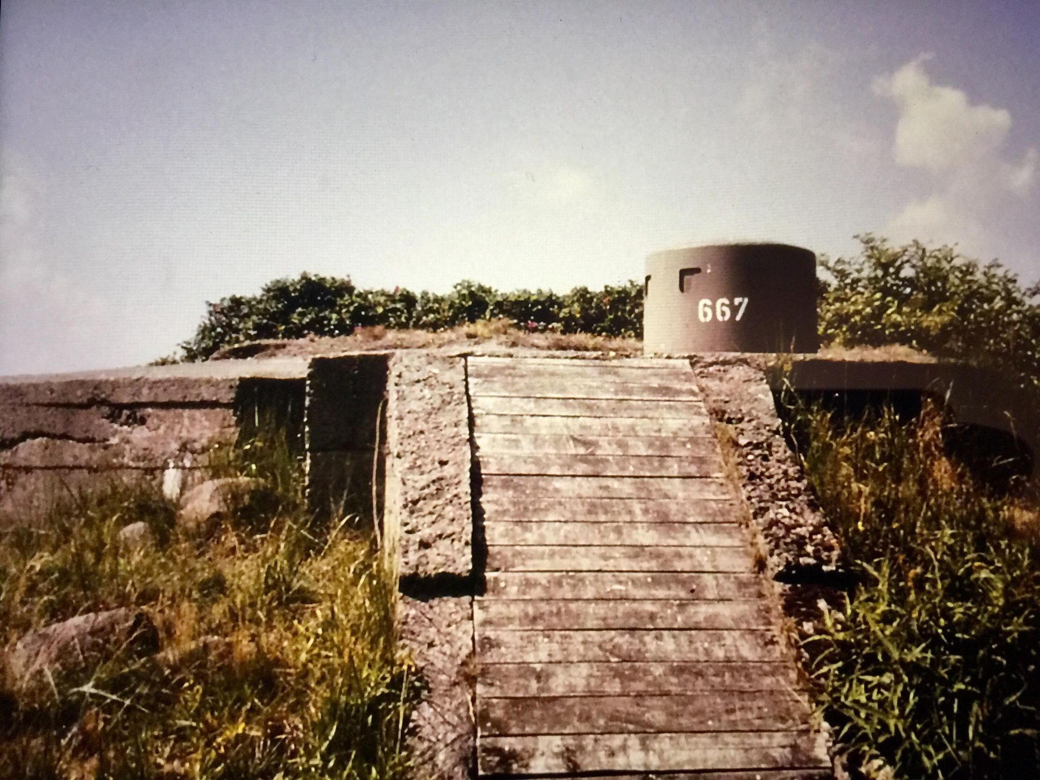 Värn 667 (Foto: Oskar Gerhardsson) (Ksp III)