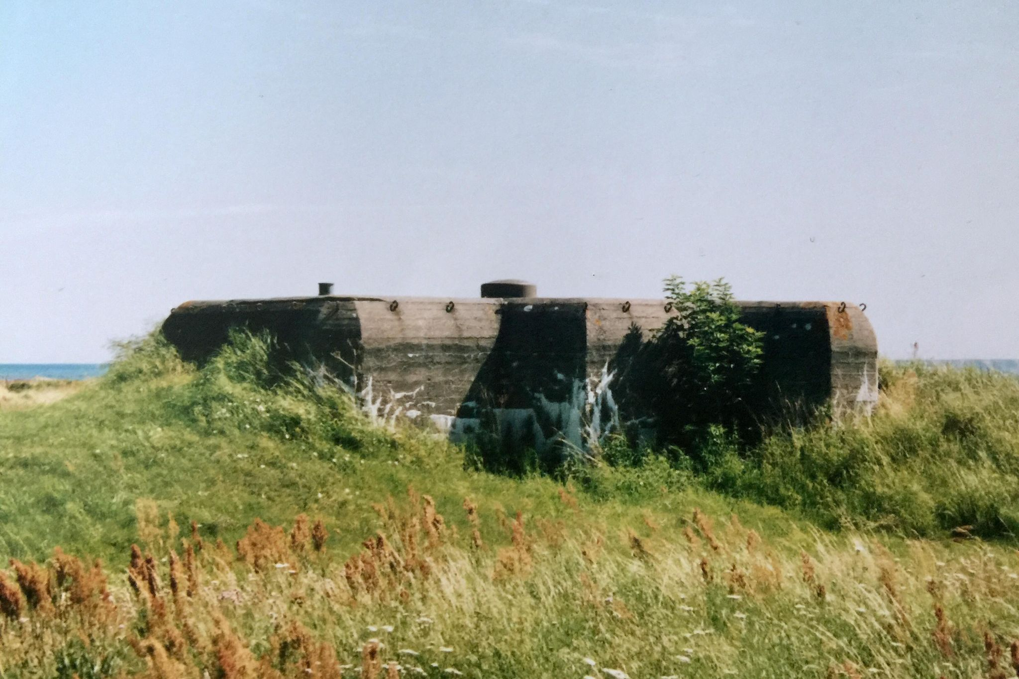 Värn 263 (Foto: Oskar Gerhardsson) (Ksp I)