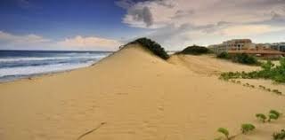 Dunas