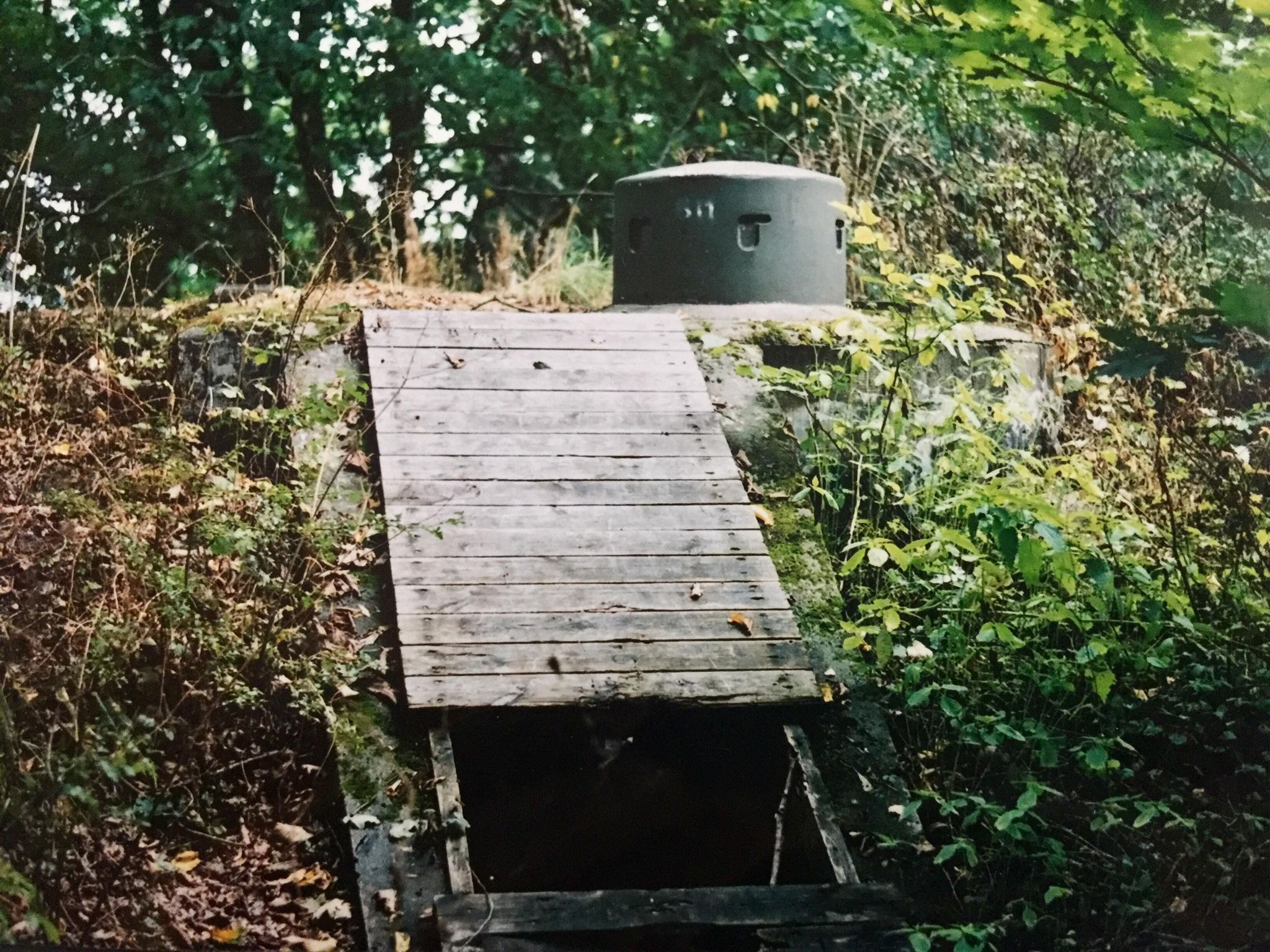 Värn 811 (foto: Oskar Gerhardsson) (Rivet Ksp III)