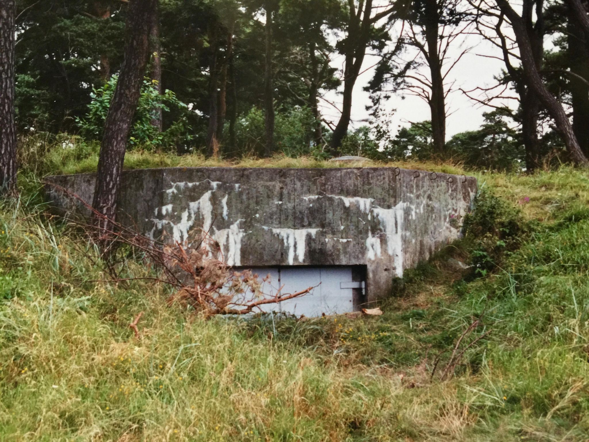 Värn 896 (Foto: Oskar Gerhardsson) (Kanon)