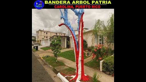 Bandera Arbol Ucar
