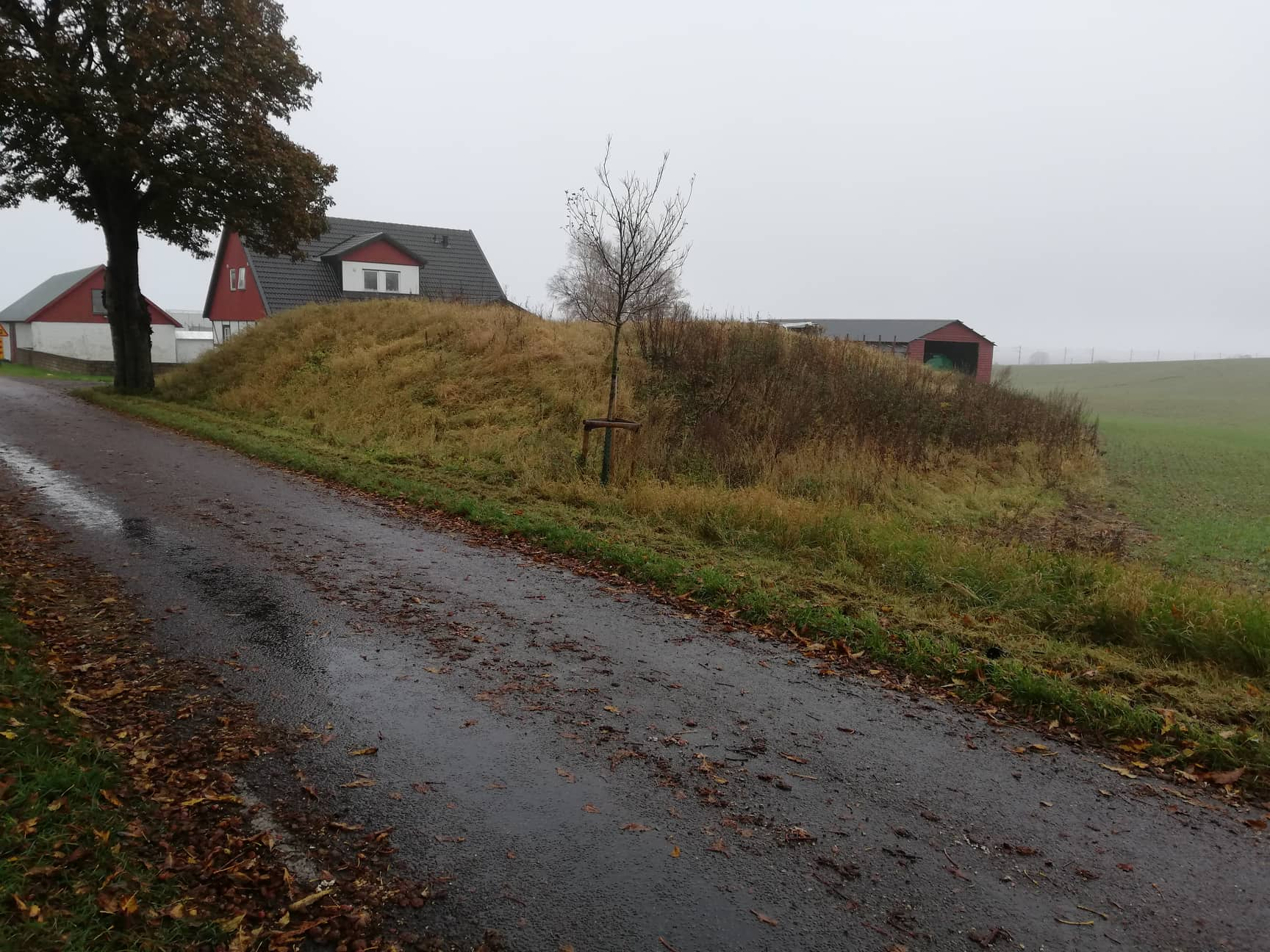 Sk 14 (Foto: Magnus Sjögren) (Skyddsrum)