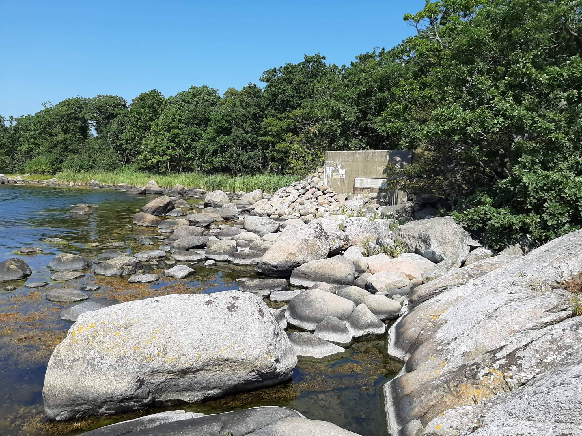 Värn 1084 (Foto: Magnus Sjögren) (Pv)