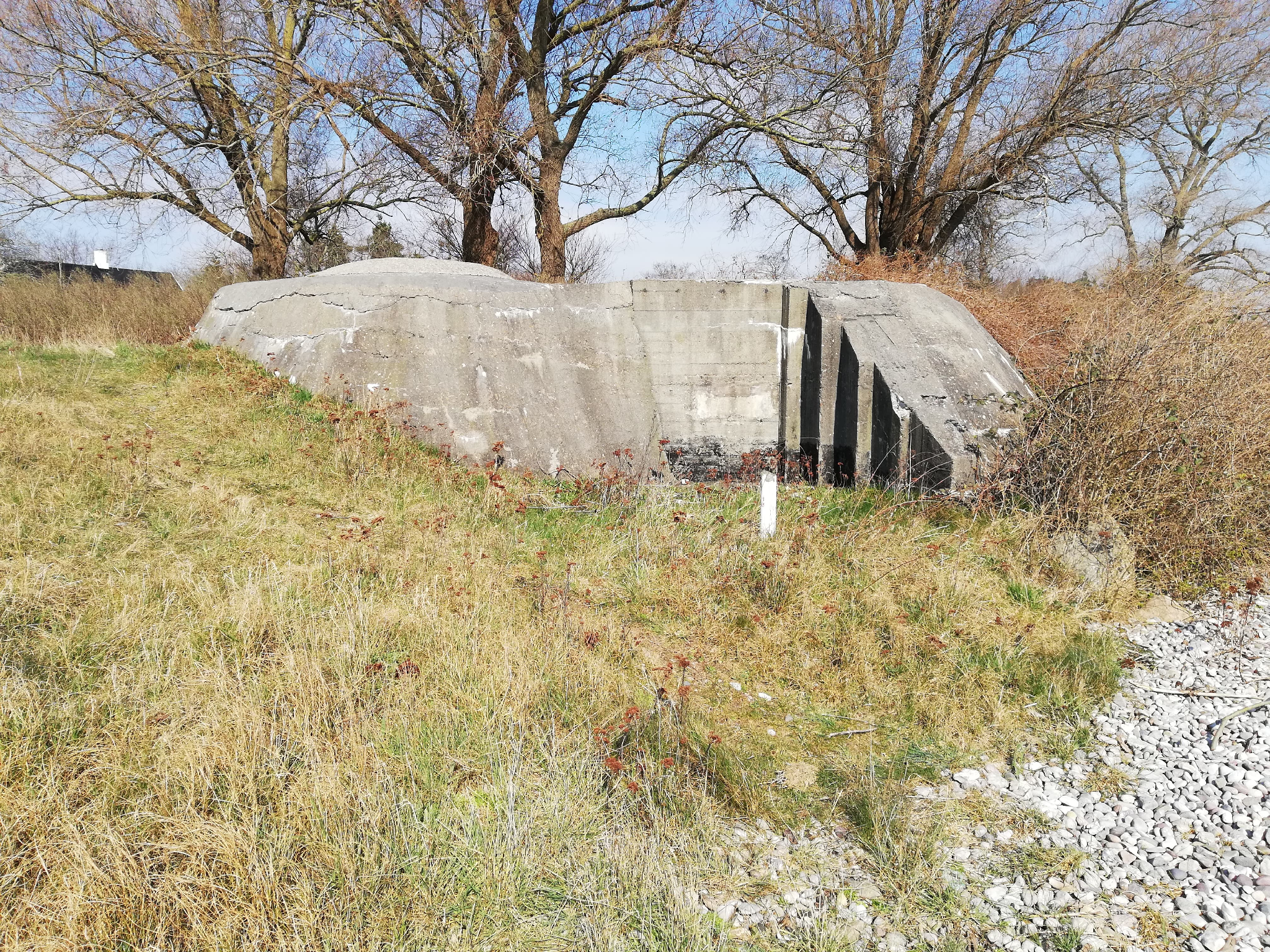 Värn 207a (Foto: Magnus Sjögren) (Ksp III)