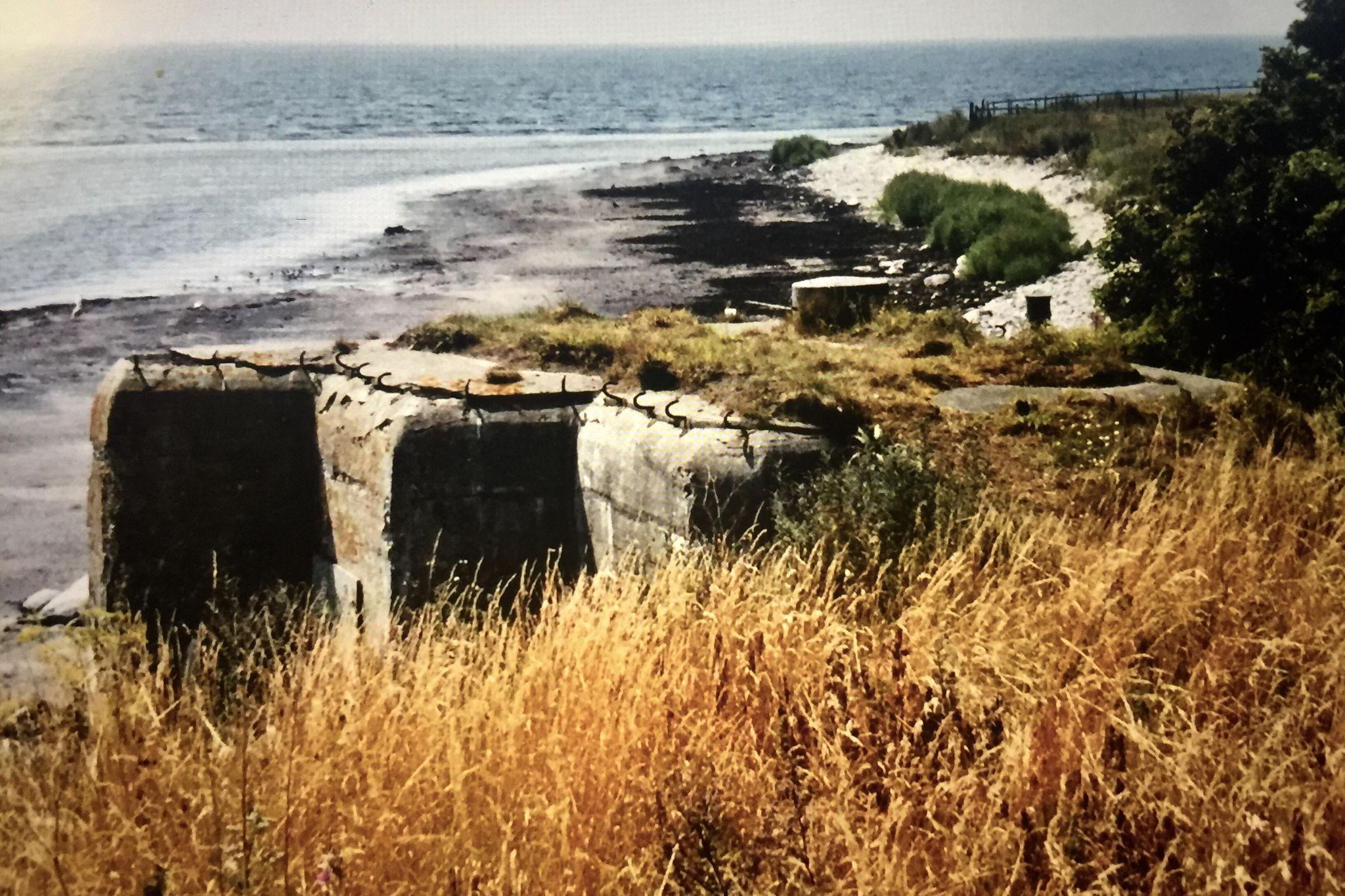 Värn 248b (Foto: Oskar Gerhardsson) (Ksp I)