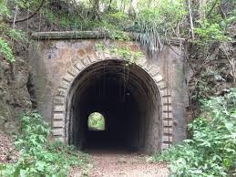 Túnel Guaniquilla
