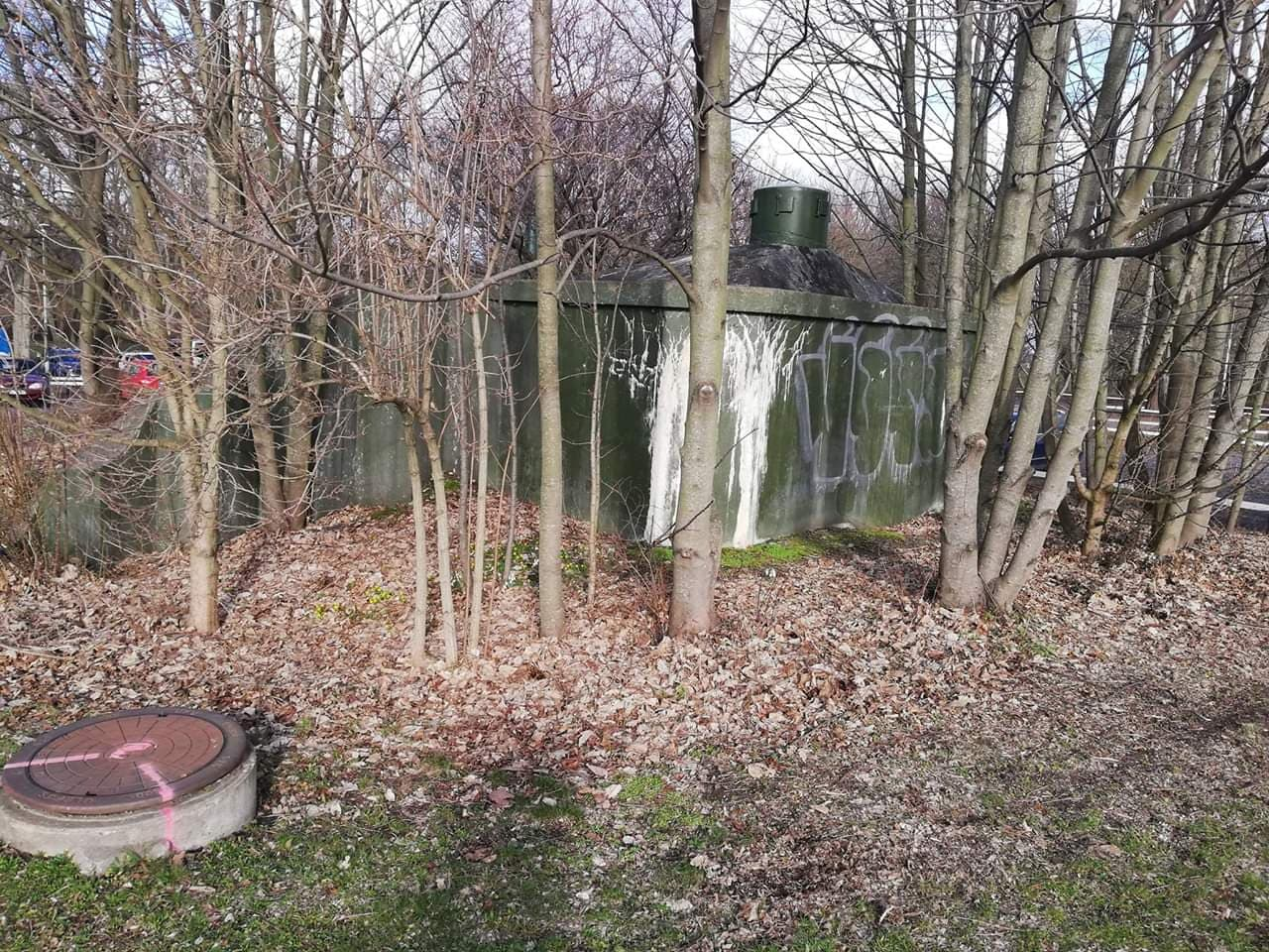 Li2 (Foto: Magnus Sjögren och Oskar Gerhardsson) (Ksp)