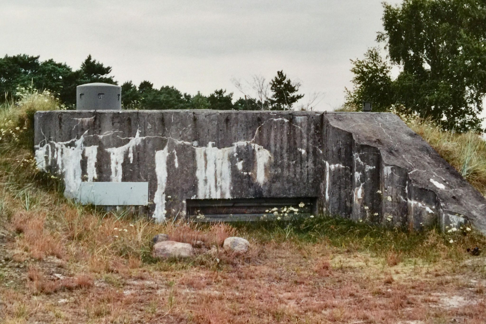 Värn 868 (Foto: Oskar Gerhardsson) (Pv)