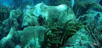 Snorkeling - Tamarindo