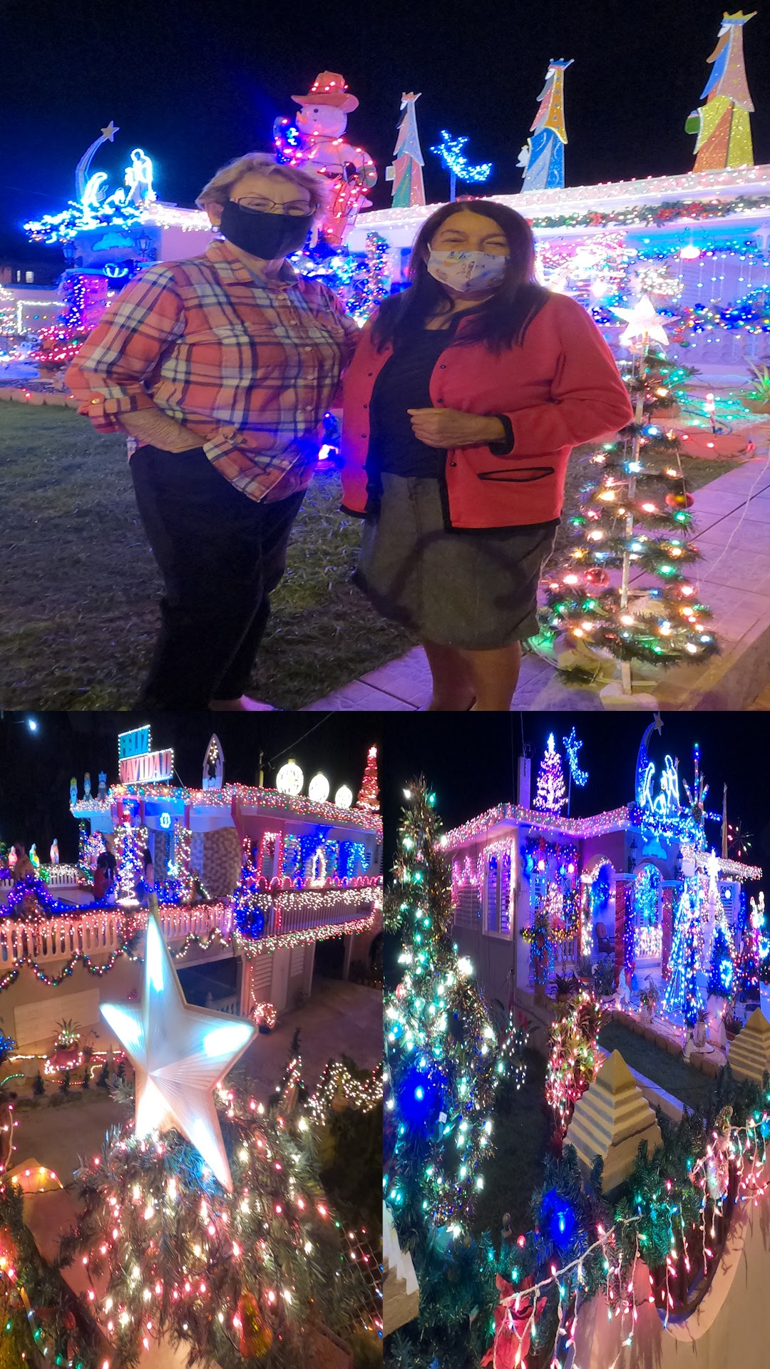 Las Vecinas de la Navidad