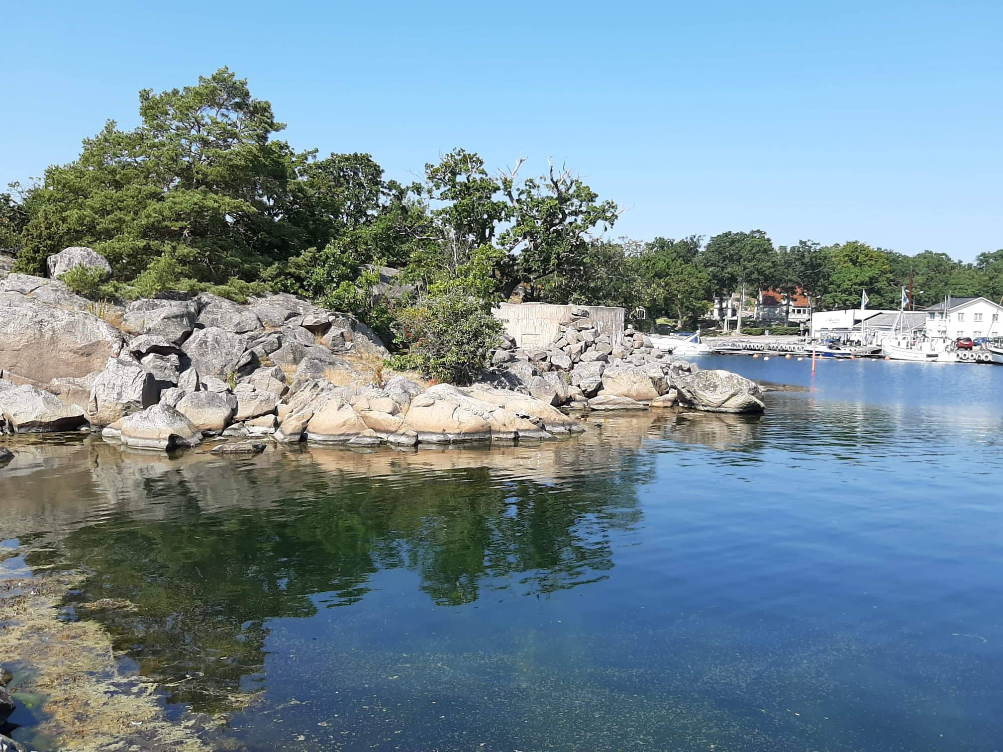 Värn 1085 (Foto: Magnus Sjögren) (Ksp V)