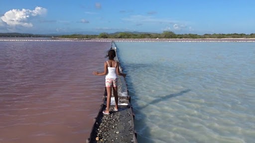 Las Salinas de Salinas