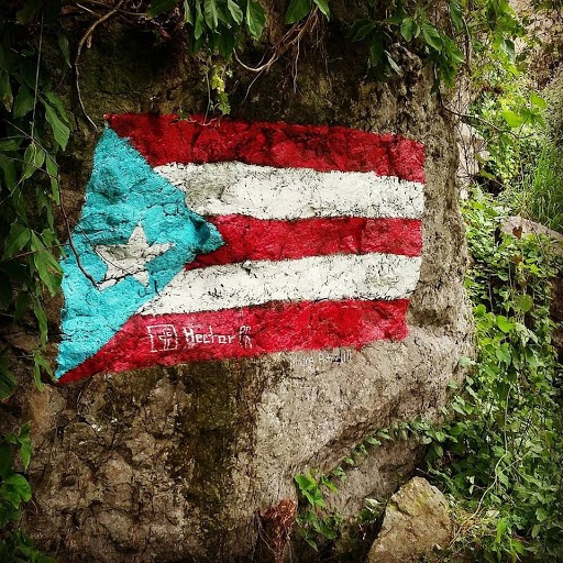 Proyecto Bandera Morovis