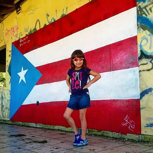 Proyecto Bandera Vega Baja