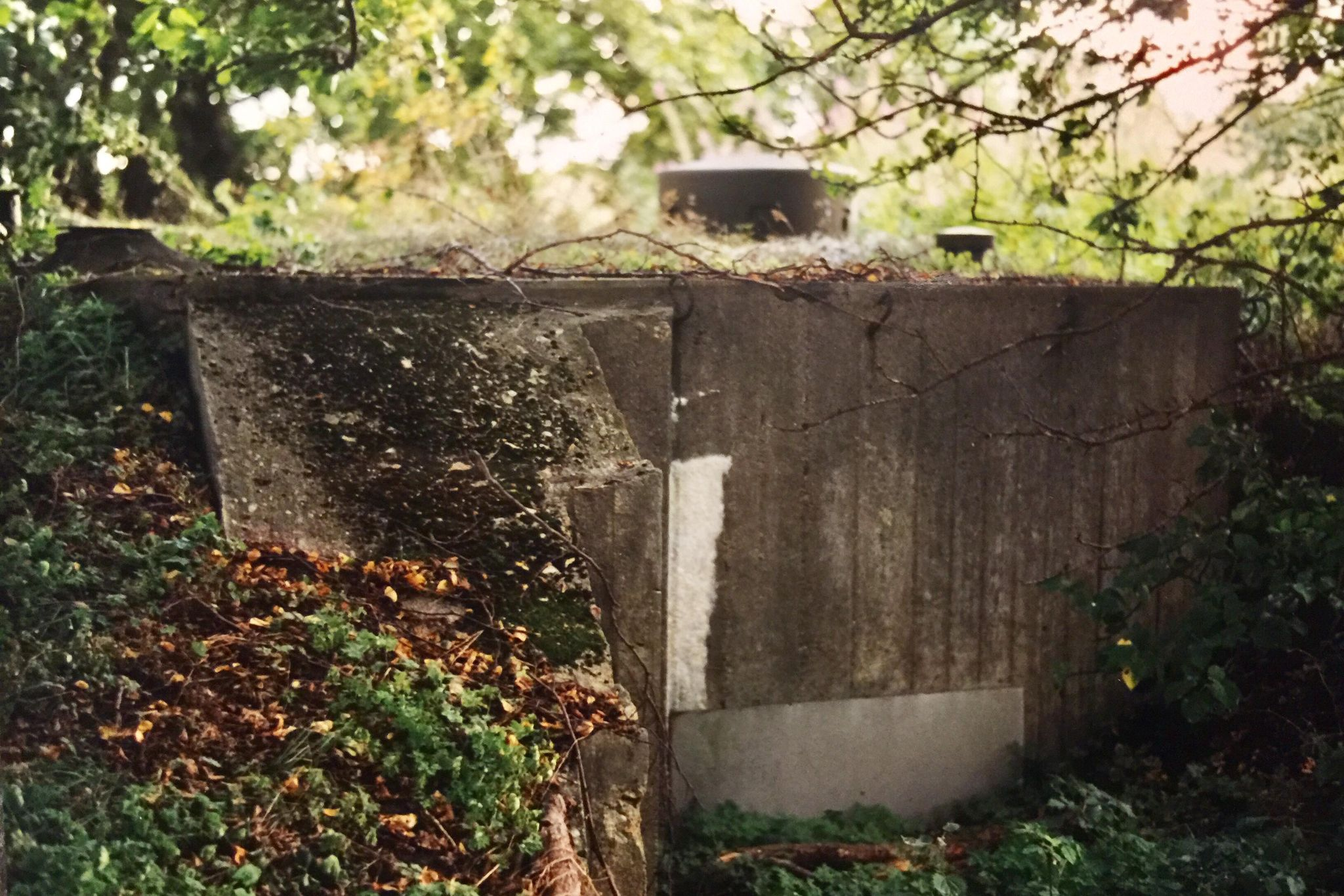 Värn 806 (Foto: Oskar Gerhardsson) (Ksp III)