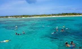 Snorkeling - Shaks