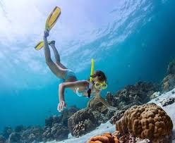 Snorkeling - Playa Natural