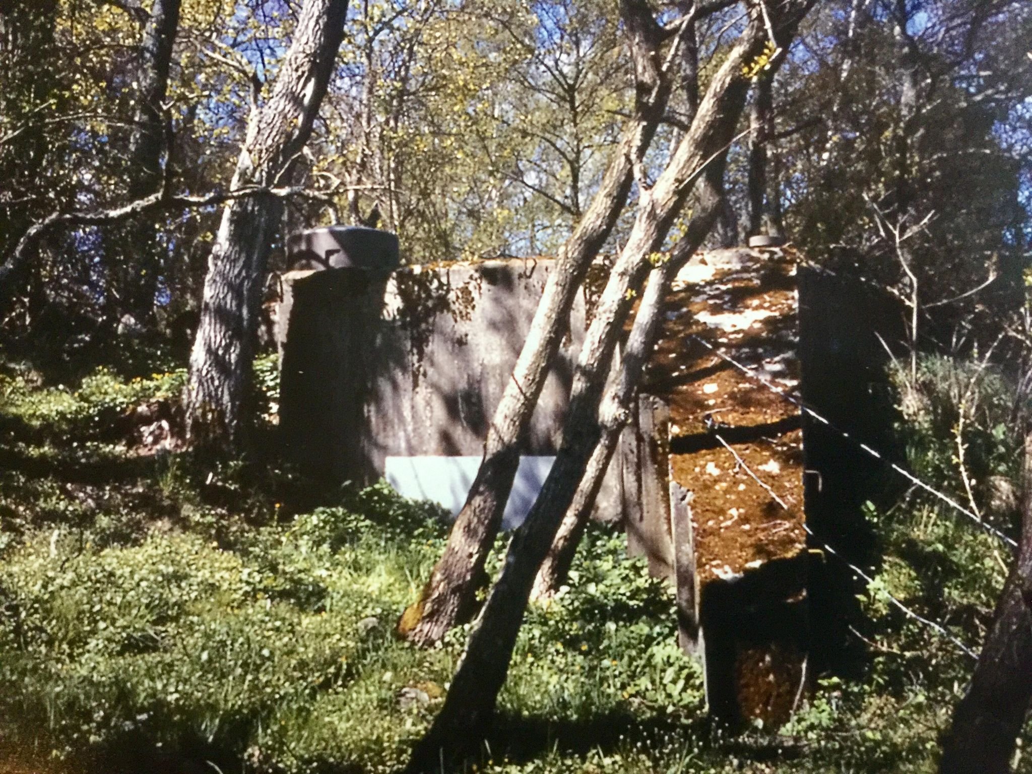 Värn 805 (Foto: Oskar Gerhardsson) (Ksp III)