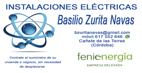 Instalaciones Eléctricas Basilio Zurita