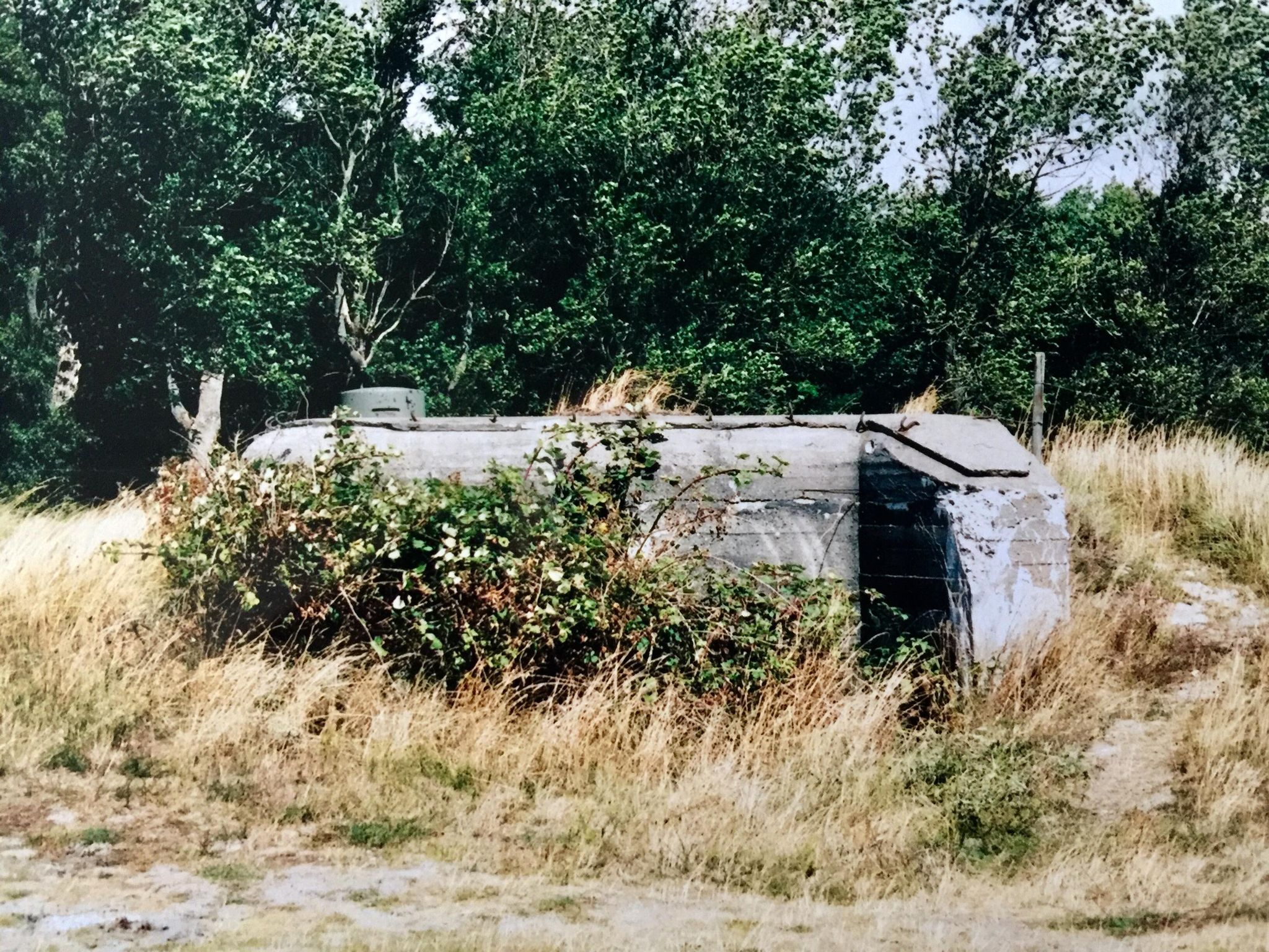 Värn 237 (Foto: Oskar Gerhardsson) (Pv)