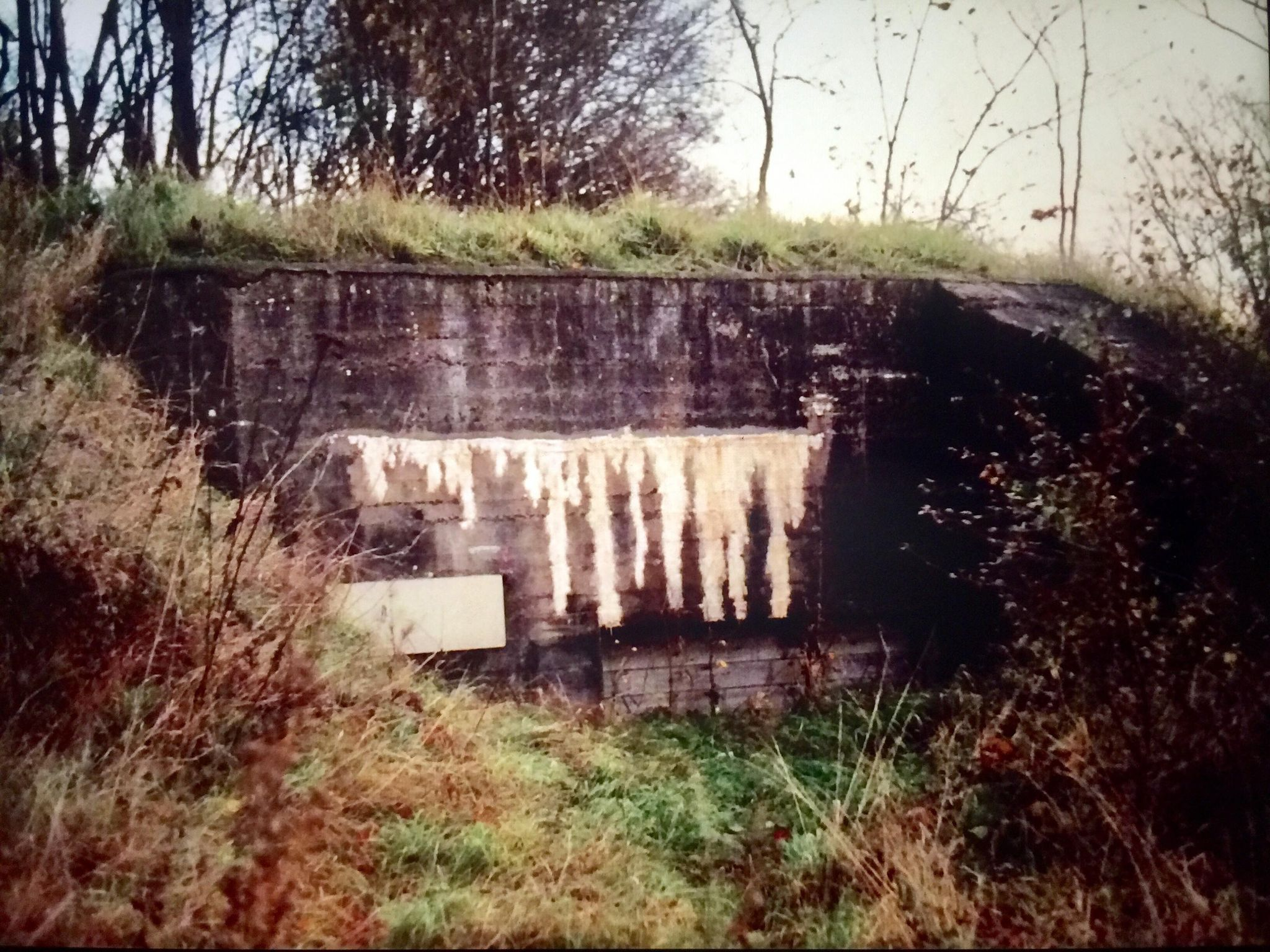 Värn 645 (osäker position) (Foto: Oskar Gerhardsson) (Rivet Pv)